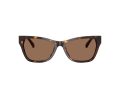 Jimmy Choo Sonnenbrille JC 5024HU 500273