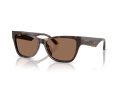 Jimmy Choo Sonnenbrille JC 5024HU 500273