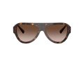 Jimmy Choo Sonnenbrille JC 5027 500213