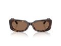 Jimmy Choo Sonnenbrille JC 5029U 500273