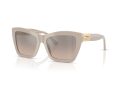 Jimmy Choo Sonnenbrille JC 5031 50336I