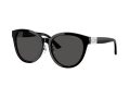 Jimmy Choo Sonnenbrille JC 5032D 500087