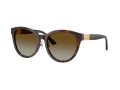 Jimmy Choo Sonnenbrille JC 5032D 5002T5
