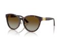 Jimmy Choo Sonnenbrille JC 5032D 5002T5