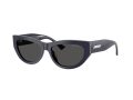 Jimmy Choo Sonnenbrille JC 5034BU 501687