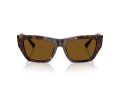 Jimmy Choo Sonnenbrille JC 5035B 500283