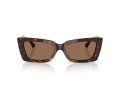 Jimmy Choo Sonnenbrille JC 5037BU 500273