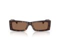 Jimmy Choo Sonnenbrille JC 5040U 500273