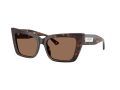 Jimmy Choo Sonnenbrille JC 5041 500273
