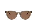 Jimmy Choo Sonnenbrille JC 5043D 505173