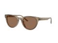 Jimmy Choo Sonnenbrille JC 5043D 505173