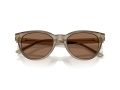 Jimmy Choo Sonnenbrille JC 5043D 505173