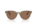 Jimmy Choo Sonnenbrille JC 5043D 505173