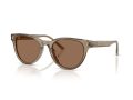 Jimmy Choo Sonnenbrille JC 5043D 505173