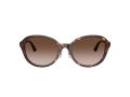 Jimmy Choo Sonnenbrille JC 5044D 500213
