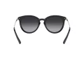 Michael Kors Brisbane Sonnenbrille MK 1077 1014/T3