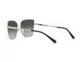 Michael Kors Bastia Sonnenbrille MK 1108 1014/8G