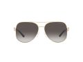 Michael Kors Chianti Sonnenbrille MK 1121 1014/8G
