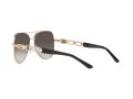 Michael Kors Chianti Sonnenbrille MK 1121 1014/8G