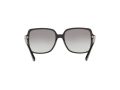 Michael Kors Isle Of Palms Sonnenbrille MK 2098U 3005/11