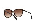 Michael Kors Anaheim Sonnenbrille MK 2137U 3006/13