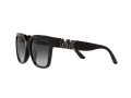 Michael Kors Karlie Sonnenbrille MK 2170U 3005/8G