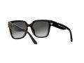 Michael Kors Karlie Sonnenbrille MK 2170U 3005/8G