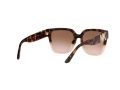 Michael Kors Karlie Sonnenbrille MK 2170U 3909/13