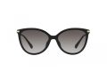 Michael Kors Dupont Sonnenbrille MK 2184U 30058G