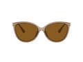 Michael Kors Dupont Sonnenbrille MK 2184U 3938T5
