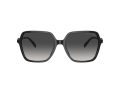 Michael Kors Jasper Sonnenbrille MK 2196U 30058G