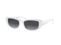 Michael Kors Asheville Sonnenbrille MK 2210U 31008G