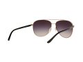 Michael Kors Hvar Sonnenbrille MK 5007 109936