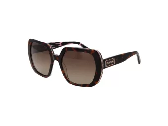 Moschino Love Sonnenbrille MOL 082/S MAPHA
