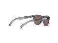 Oakley Frogskins Xxs Sonnenbrille OJ 9009 02