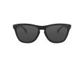 Oakley Frogskins Sonnenbrille OO 9013 24-306