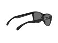 Oakley Frogskins Sonnenbrille OO 9013 24-306
