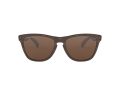 Oakley Frogskins Sonnenbrille OO 9013 C5