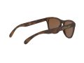 Oakley Frogskins Sonnenbrille OO 9013 C5