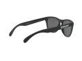 Oakley Frogskins Sonnenbrille OO 9013 F7