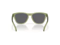 Oakley Frogskins Sonnenbrille OO 9013 M2