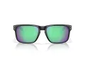 Oakley Holbrook Sonnenbrille OO 9102 AI