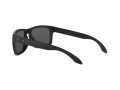 Oakley Holbrook Sonnenbrille 9102 D6
