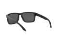 Oakley Holbrook Sonnenbrille 9102 D6