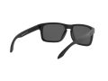 Oakley Holbrook Sonnenbrille 9102 D6