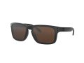Oakley Holbrook Sonnenbrille 9102 D7