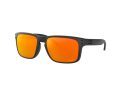 Oakley Holbrook Sonnenbrille 9102 E2