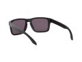 Oakley Holbrook Sonnenbrille OO 9102 E8