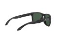 Oakley Holbrook Sonnenbrille 9102 E9