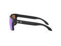 Oakley Holbrook Sonnenbrille 9102 F0